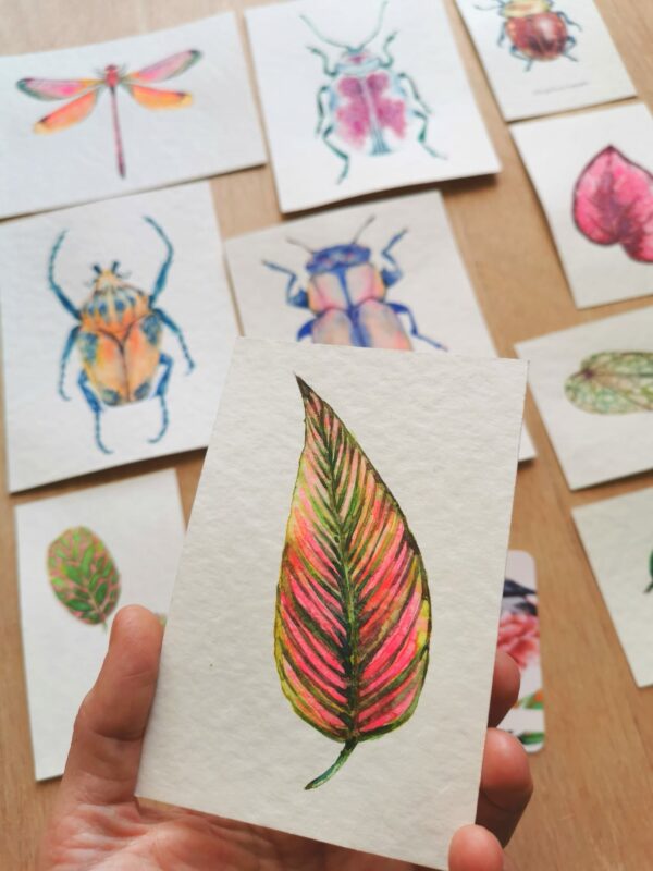 aquarelle