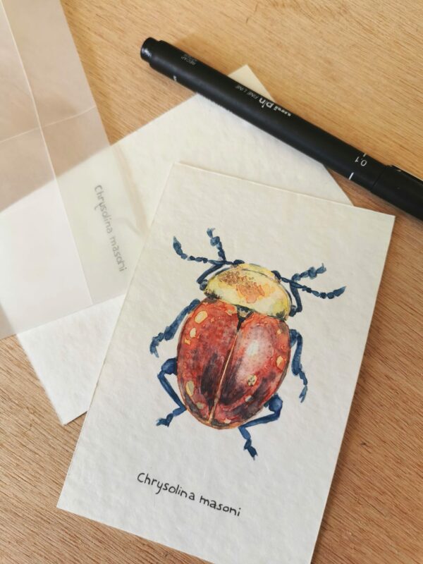 Atelier aquarelle - Nature & Curiosites – Image 5
