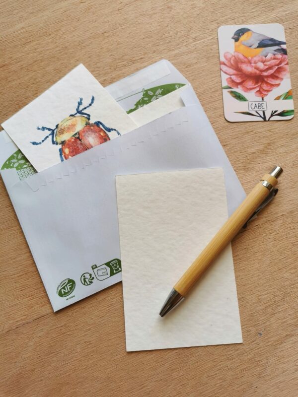 Atelier aquarelle - Nature & Curiosites – Image 4