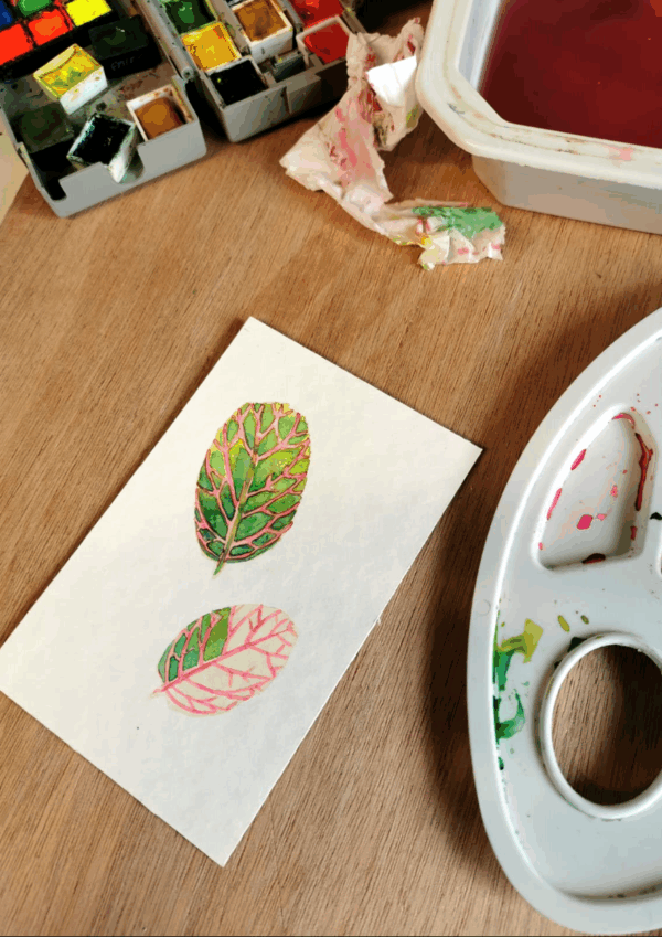 Atelier aquarelle - Nature & Curiosites – Image 3