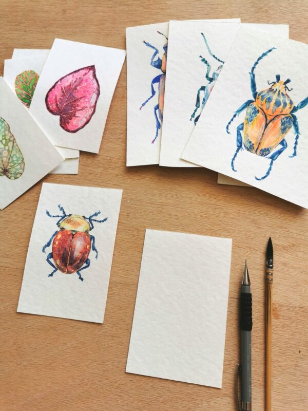 Atelier aquarelle - Nature & Curiosites – Image 2