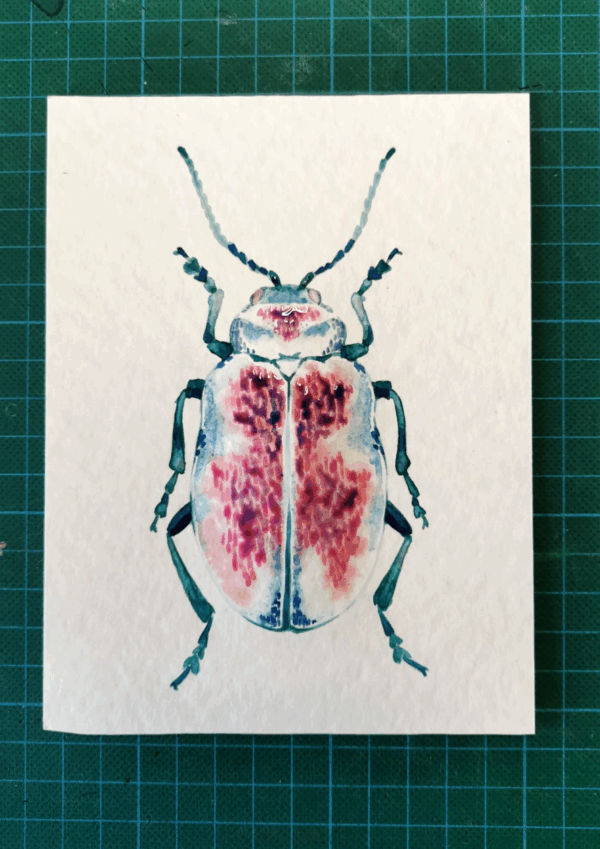 Atelier aquarelle - Nature & Curiosites – Image 6